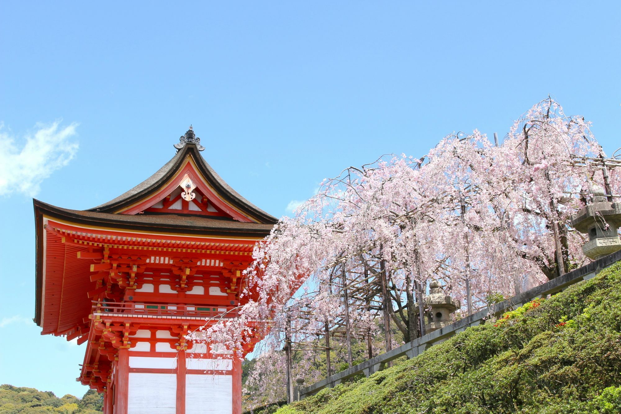 Stay Sakura Kyoto Nijo Seasons Esterno foto